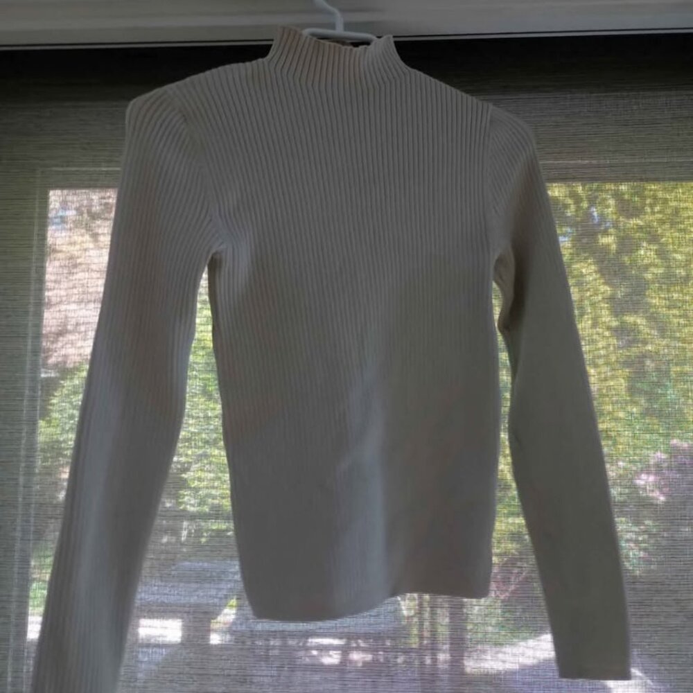 Aritzia Babaton sculpt knit mockneck